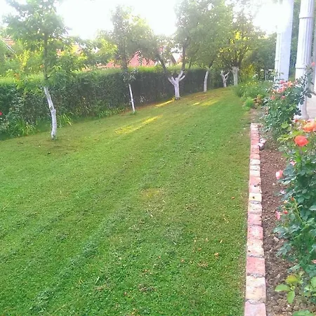 House Afan Hadzici