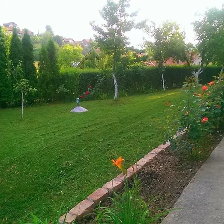 House Afan Holiday home